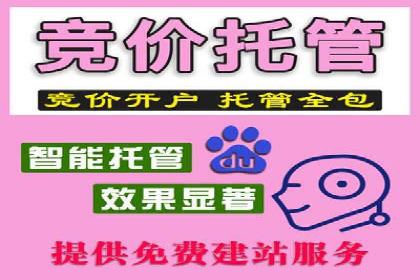 提升网站流量与转化率的关键——关键词竞价排名案例